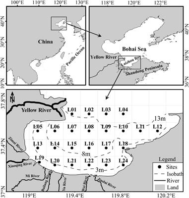 Decadal Response of Mesozooplankton Assemblages to Nutrient Load Reductions in Laizhou Bay, China